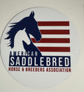 Large Circular Car Magnet
