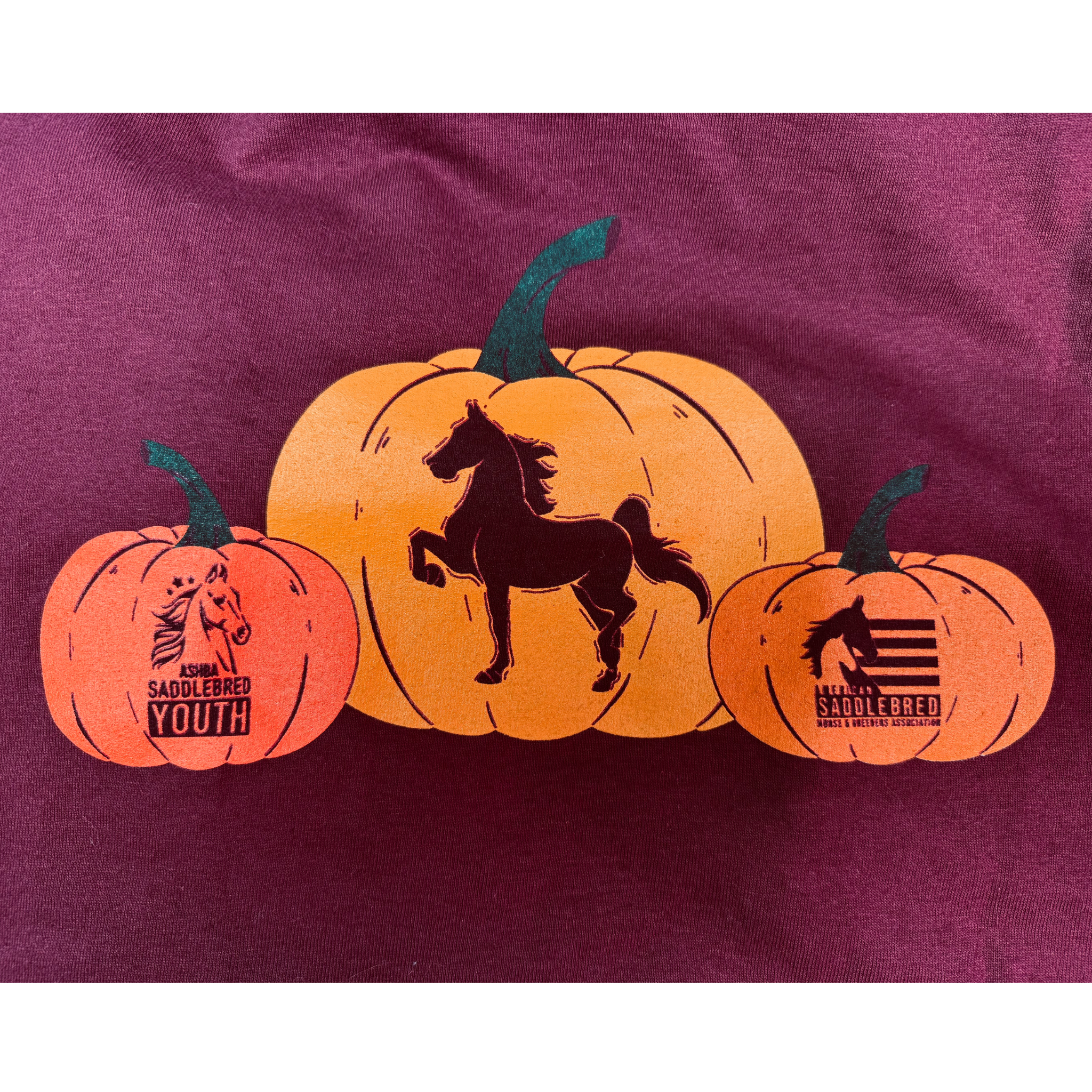 Pumpkin Patch Saddlebred Long-Sleeve Shirt